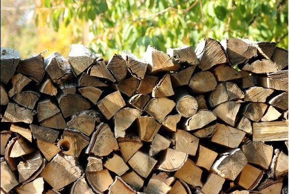 wood logs for sale