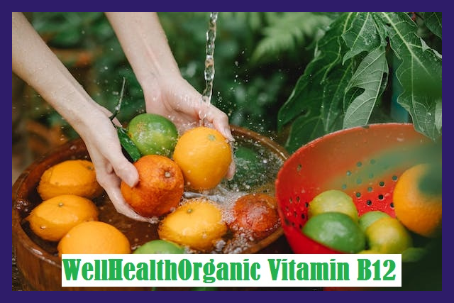 Wellhealthorganic Vitamin B12: A Comprehensive Guide