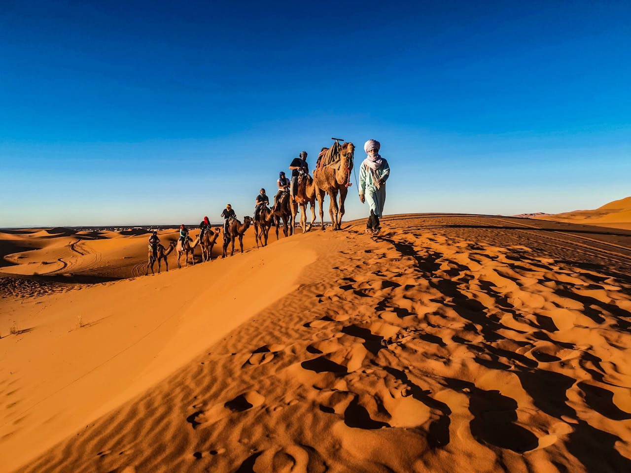 Morocco Trips from Casablanca: Where Every Journey Tells a Story